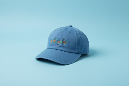 Turtles hat