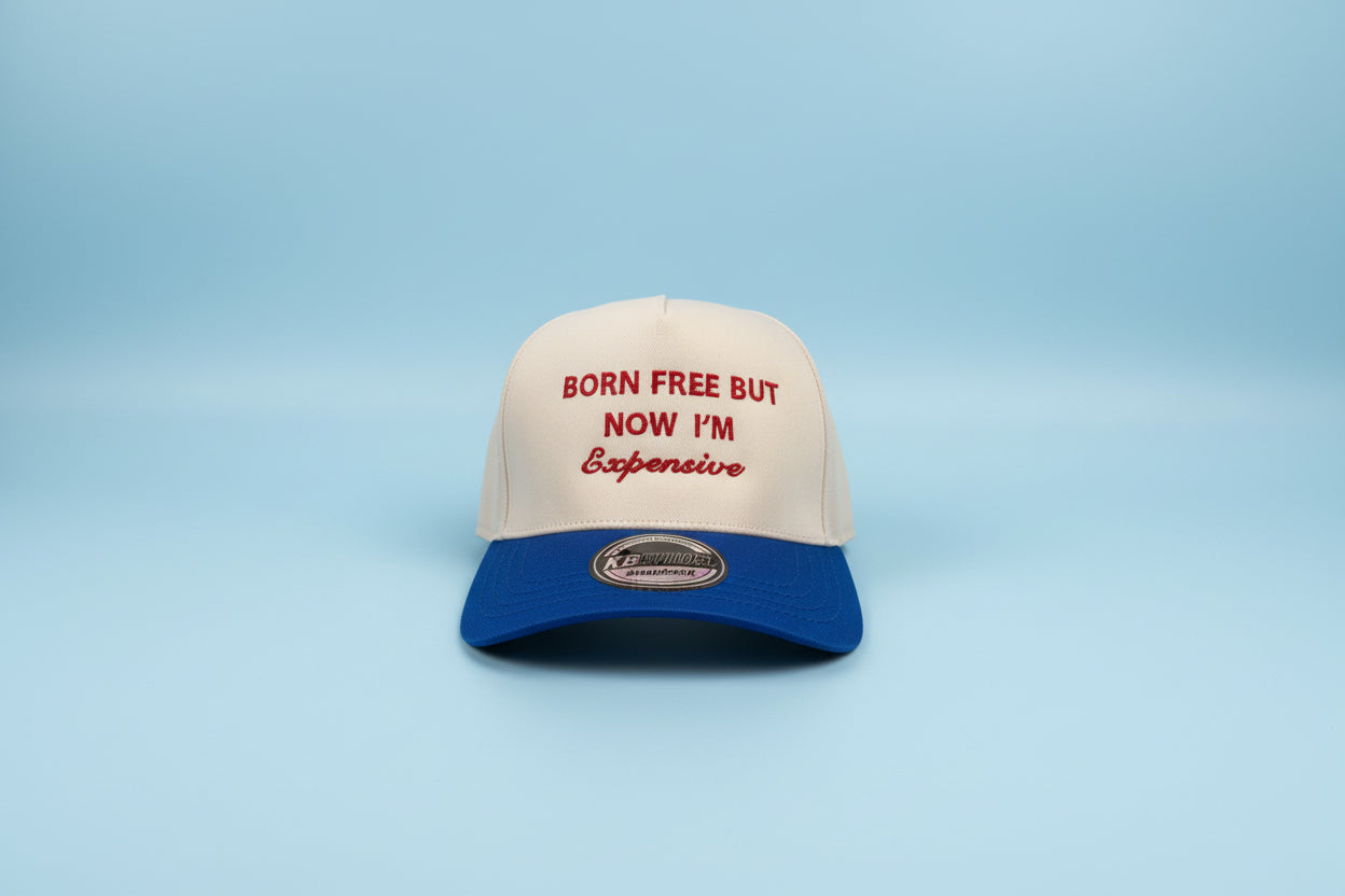 Free but expensive