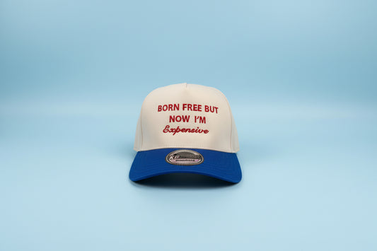 Free but expensive